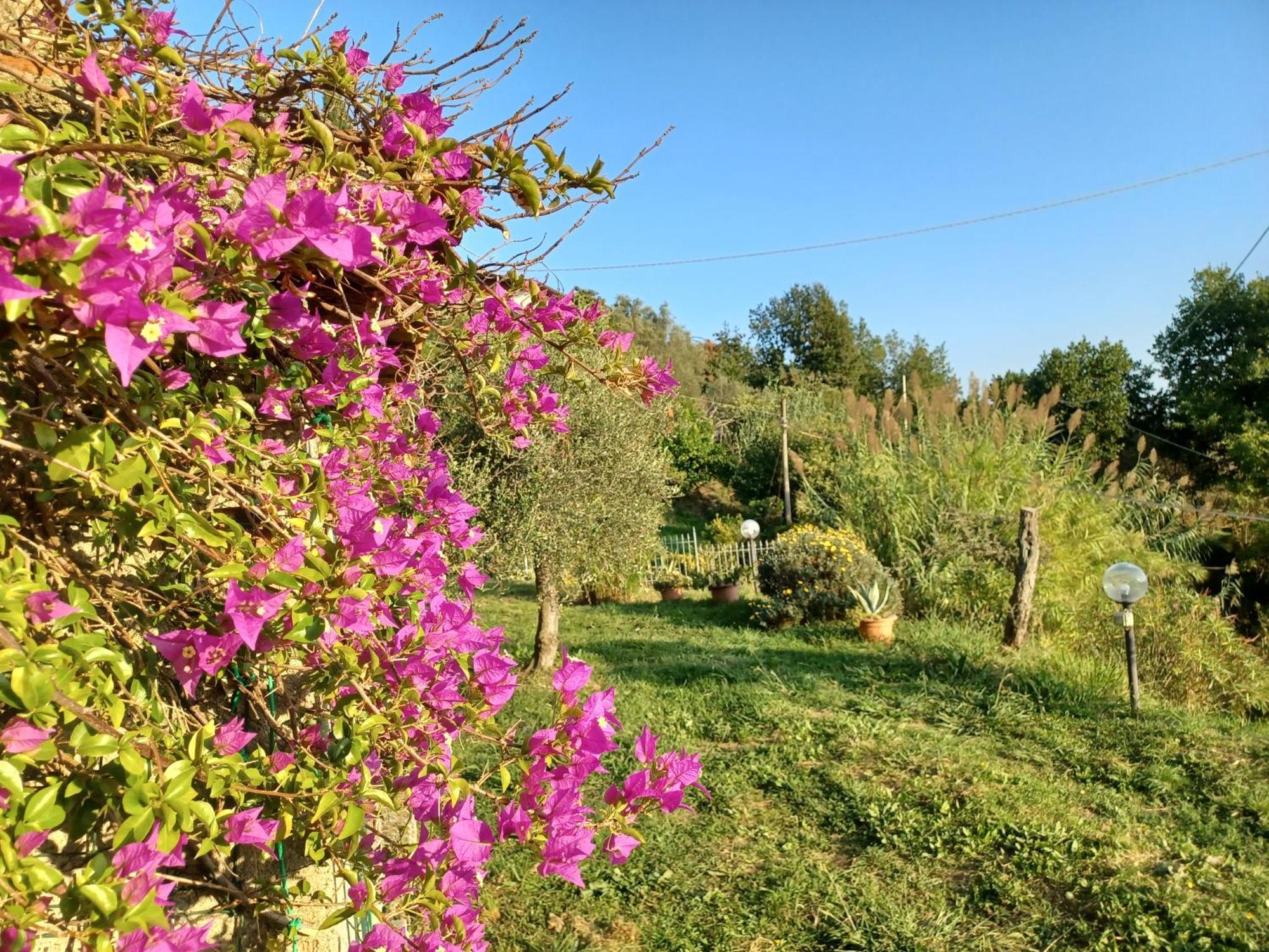 הוילה Ponzano Superiore Il Fontolo מראה חיצוני תמונה